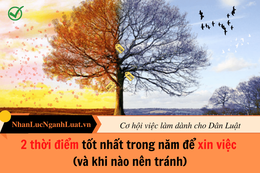 2 thời điểm tốt nhất trong năm để xin việc (và khi nào nên tránh)