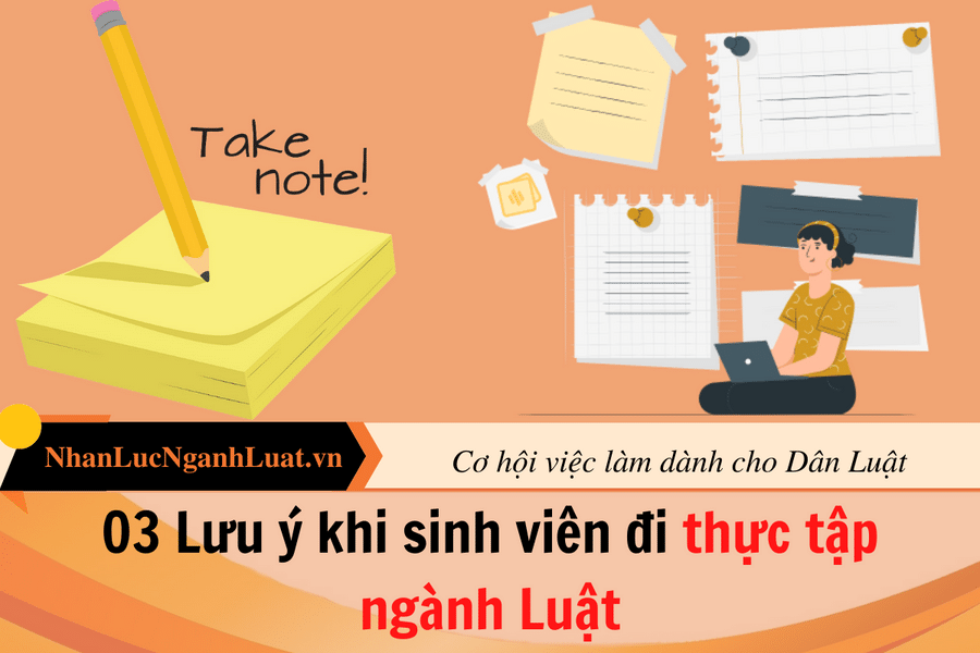 03 Lưu ý khi sinh viên đi thực tập ngành Luật