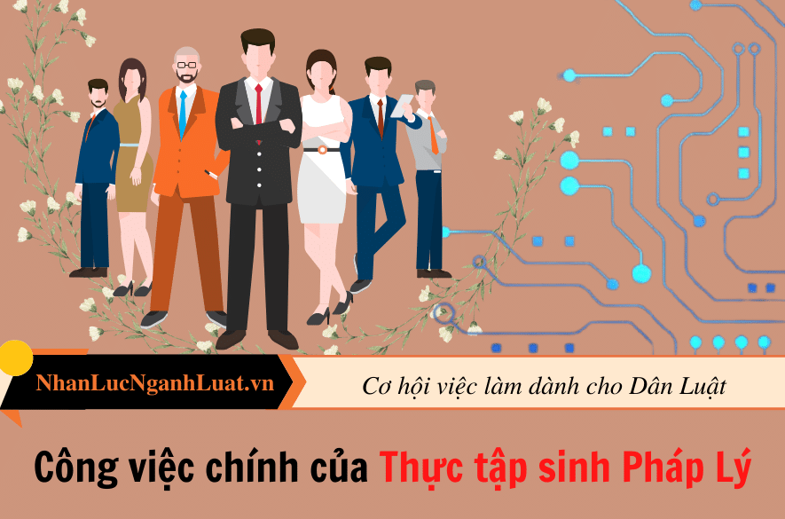 Công việc chính của Thực tập sinh Pháp lý