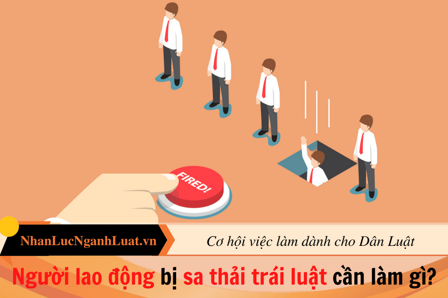 Người lao động bị sa thải trái luật cần làm gì?