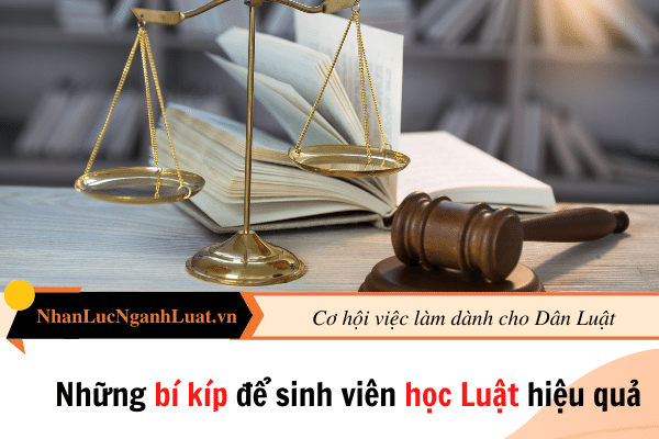 Những bí kíp để sinh viên học Luật hiệu quả