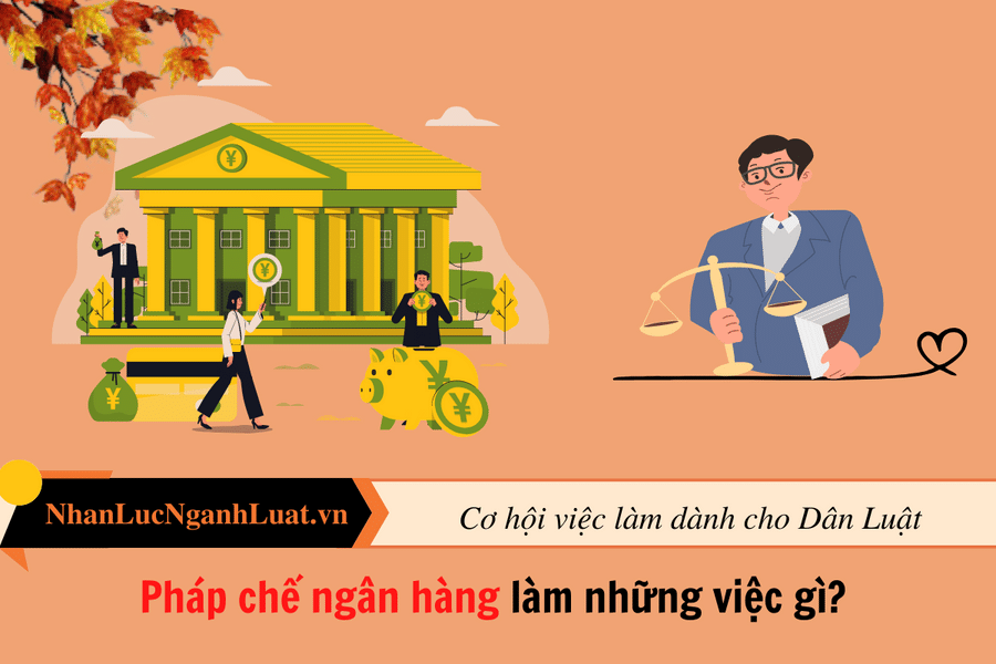 Pháp chế ngân hàng làm những việc gì?