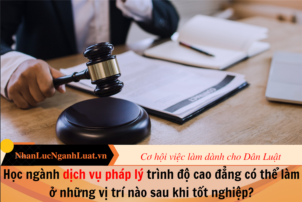 Học ngành dịch vụ pháp lý trình độ cao đẳng có thể làm ở những vị trí nào sau khi tốt nghiệp?