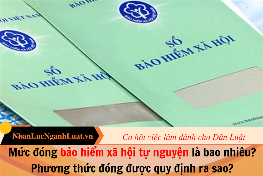 Mức đóng bảo hiểm xã hội tự nguyện là bao nhiêu? Phương thức đóng được quy định ra sao?