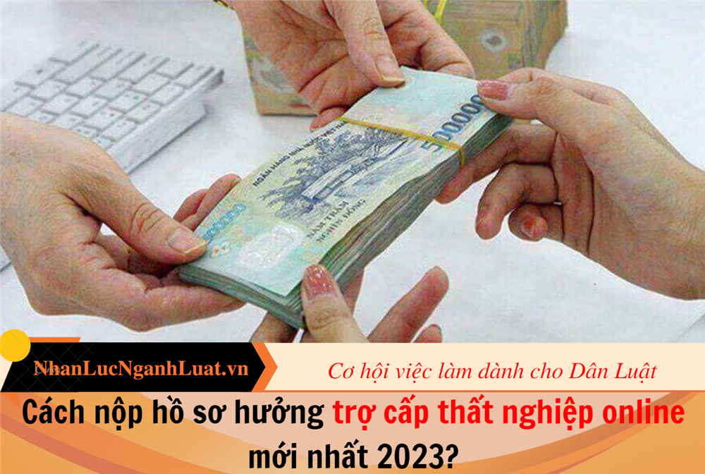 Cách nộp hồ sơ hưởng trợ cấp thất nghiệp online mới nhất 2023?