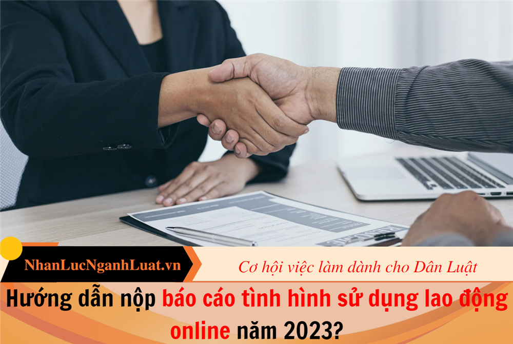 Hướng dẫn nộp báo cáo tình hình sử dụng lao động online năm 2023?