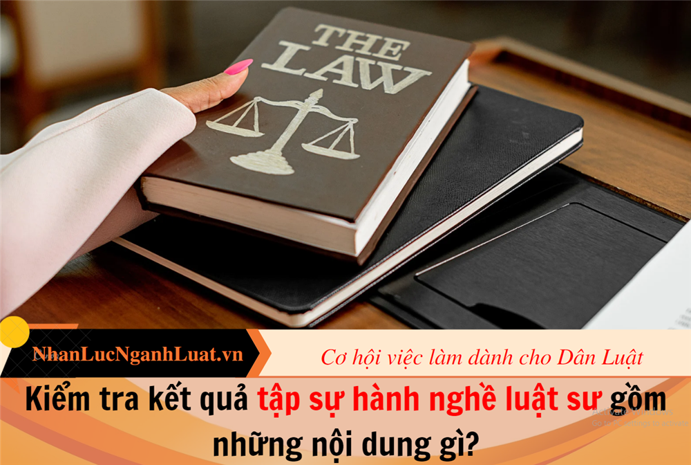 Kiểm tra kết quả tập sự hành nghề luật sư gồm những nội dung gì?