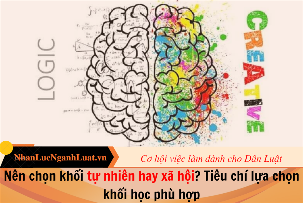 Nên chọn khối tự nhiên hay xã hội? Tiêu chí lựa chọn khối học phù hợp