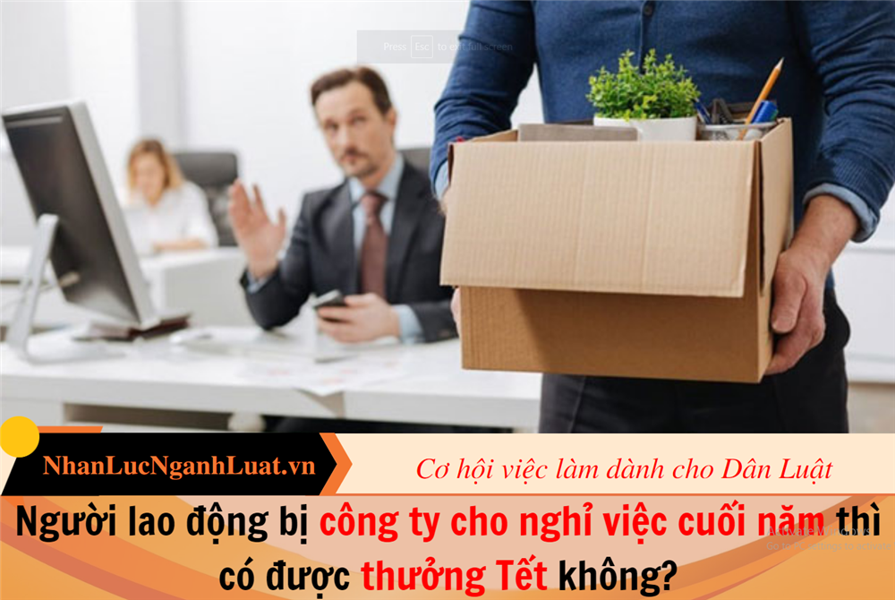 Người lao động bị công ty cho nghỉ việc cuối năm thì có được thưởng Tết không?