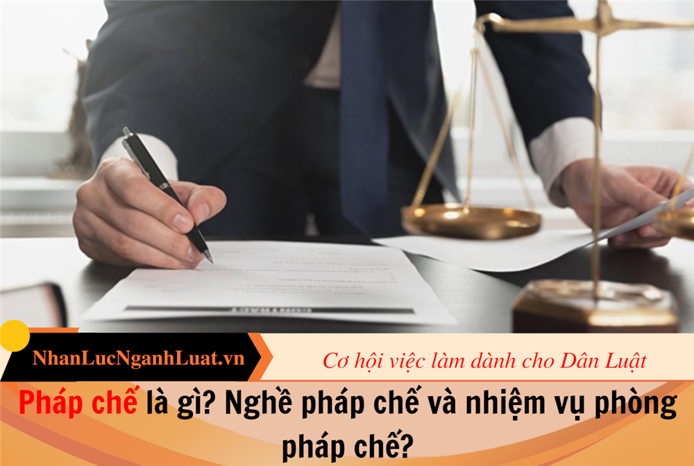 Pháp chế là gì? Nghề pháp chế và nhiệm vụ phòng pháp chế?