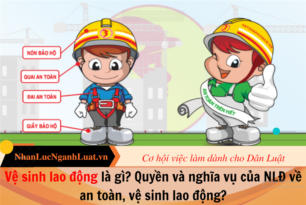 Vệ sinh lao động là gì? Quyền và nghĩa vụ của NLĐ về an toàn, vệ sinh lao động?