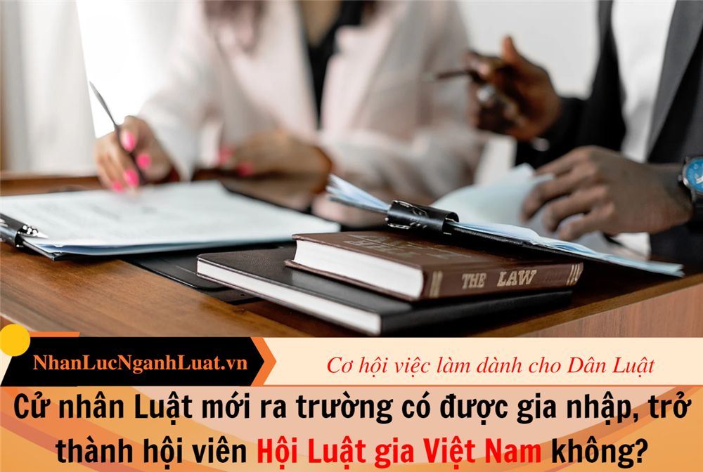 Cử nhân Luật mới ra trường có được gia nhập, trở thành hội viên Hội Luật gia Việt Nam không?