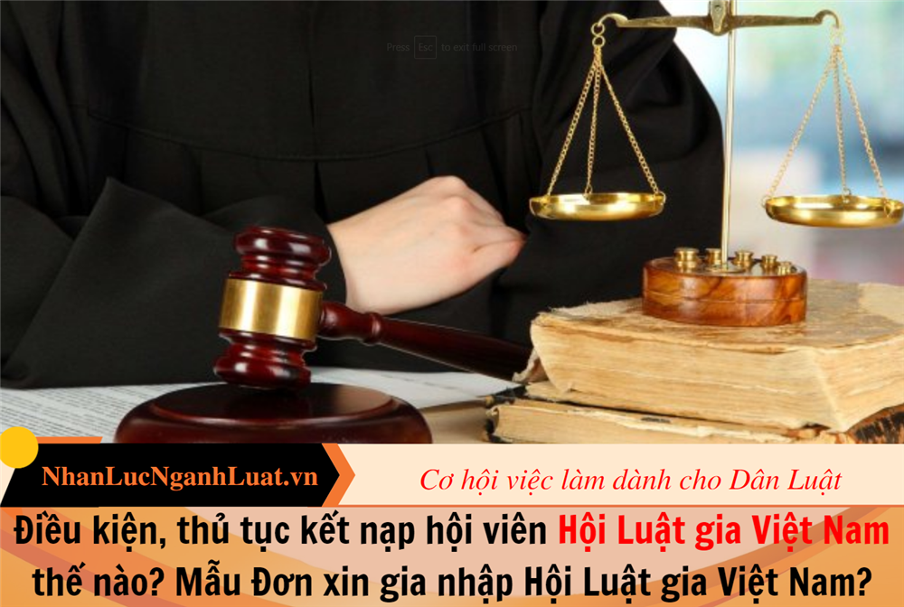 Điều kiện, thủ tục kết nạp hội viên Hội Luật gia Việt Nam thế nào? Mẫu Đơn xin gia nhập Hội Luật gia Việt Nam?