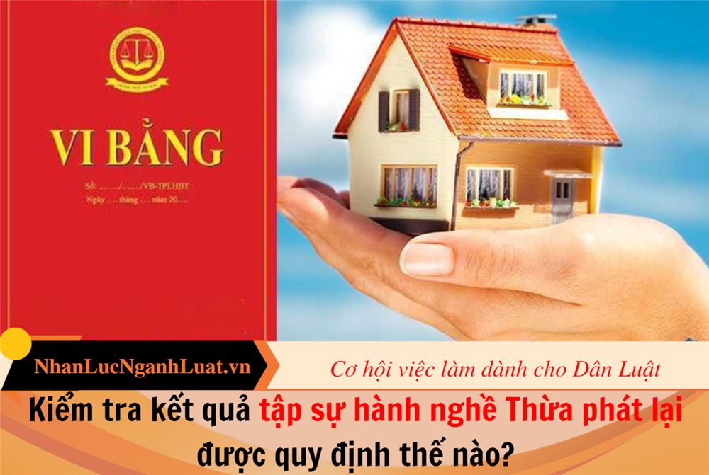 Kiểm tra kết quả tập sự hành nghề Thừa phát lại được quy định thế nào?