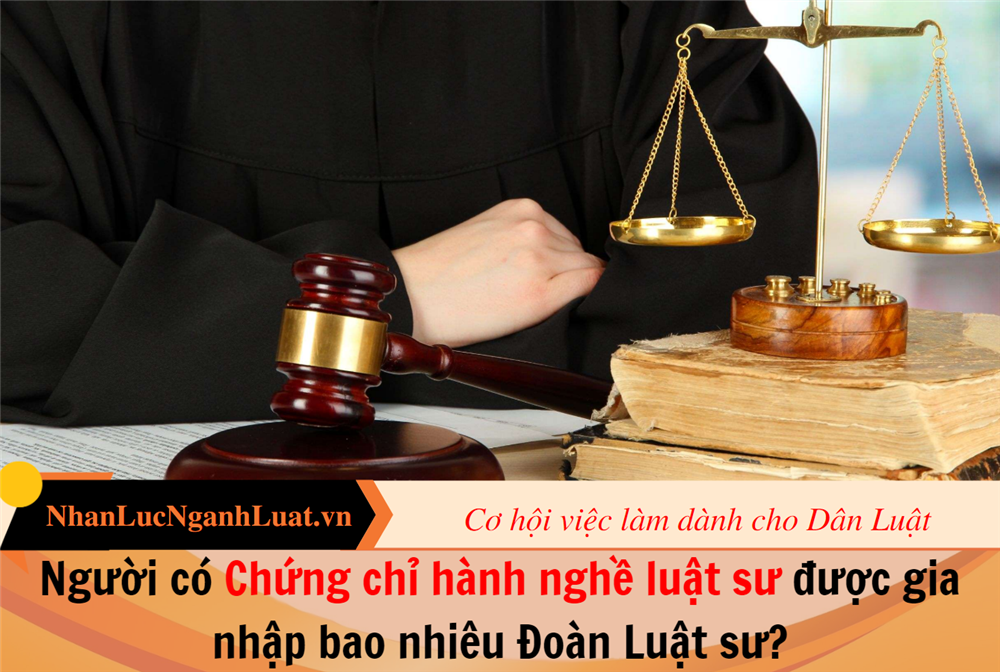 Người có Chứng chỉ hành nghề luật sư được gia nhập bao nhiêu Đoàn Luật sư?