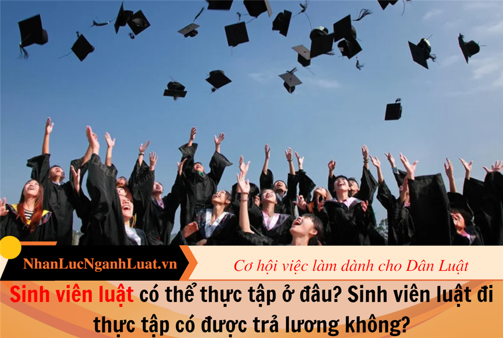 Sinh viên luật có thể thực tập ở đâu? Sinh viên luật đi thực tập có được trả lương không?