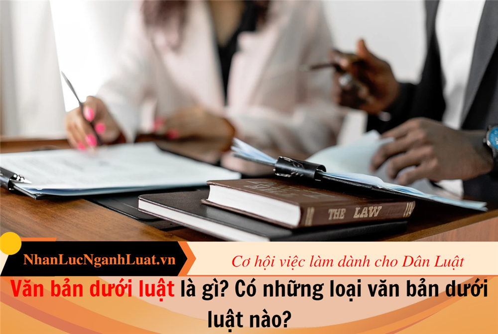 Văn bản dưới luật là gì? Có những loại văn bản dưới luật nào?