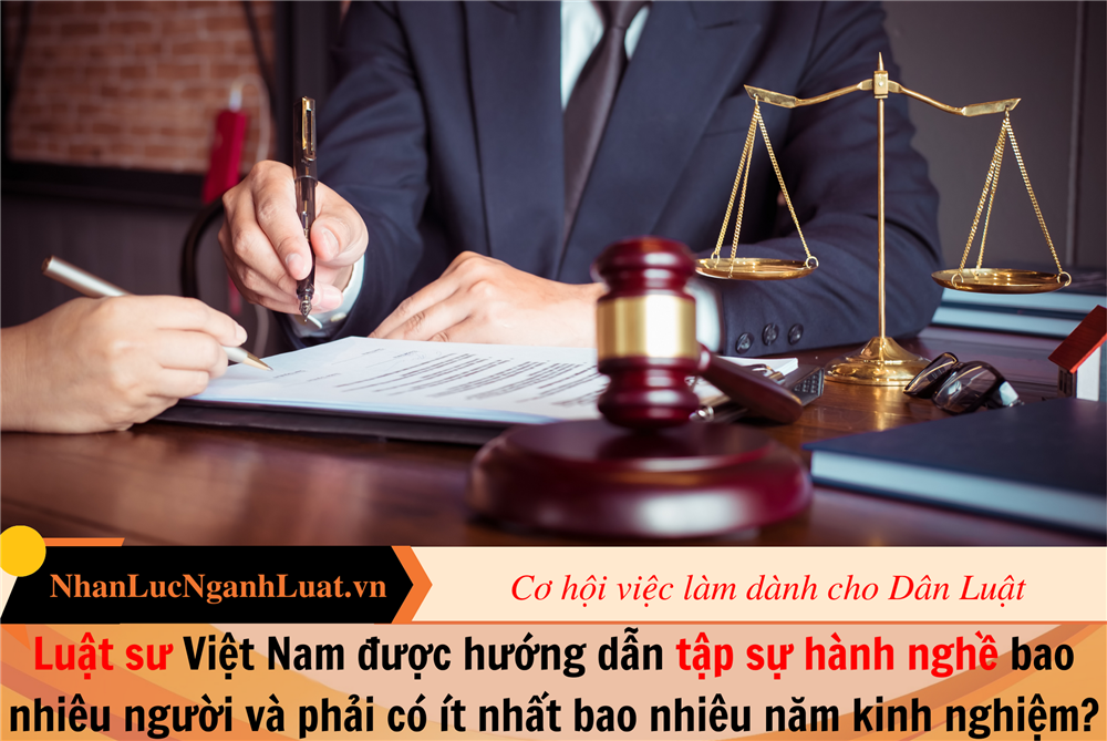 Luật sư Việt Nam được hướng dẫn tập sự hành nghề bao nhiêu người và phải có ít nhất bao nhiêu năm kinh nghiệm?