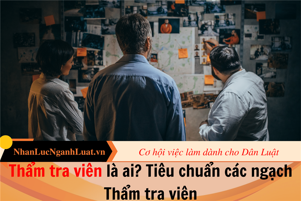 Thẩm tra viên là ai? Tiêu chuẩn các ngạch Thẩm tra viên