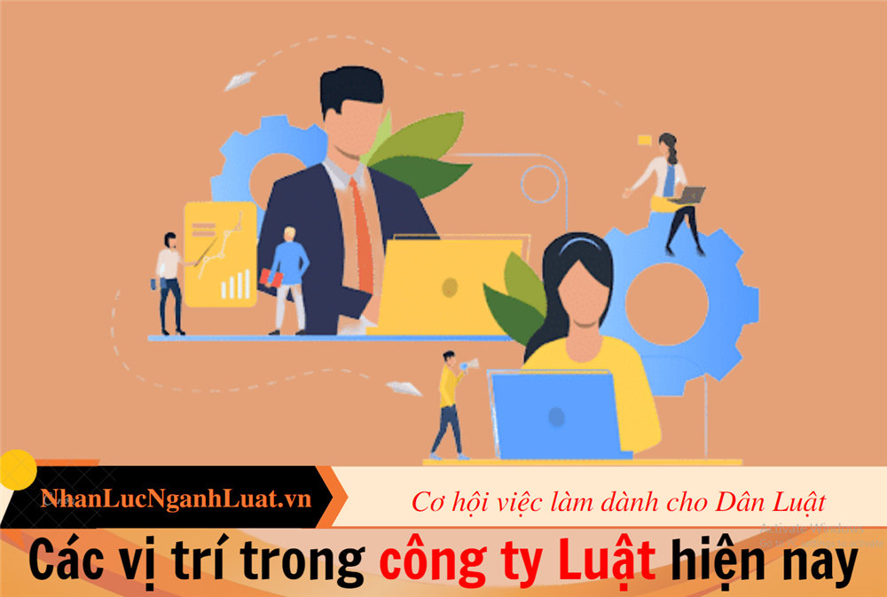 Các vị trí trong công ty Luật hiện nay