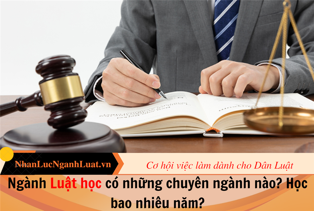 Ngành Luật học có những chuyên ngành nào? Học bao nhiêu năm?