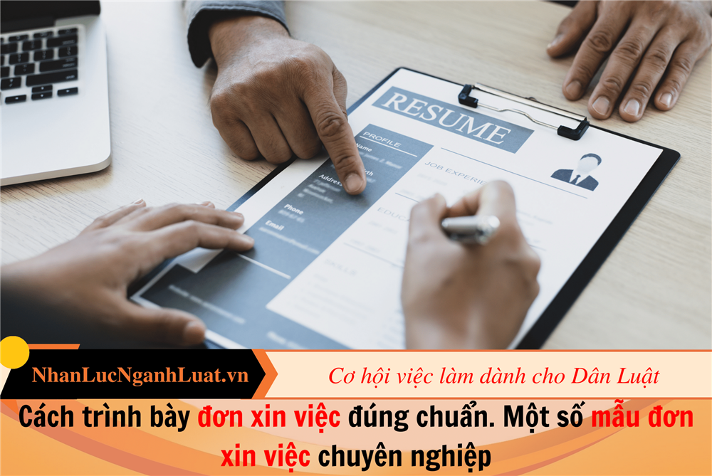 Cách trình bày đơn xin việc đúng chuẩn. Một số mẫu đơn xin việc chuyên nghiệp