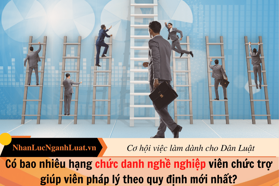 Có bao nhiêu hạng chức danh nghề nghiệp viên chức trợ giúp viên pháp lý theo quy định mới nhất?