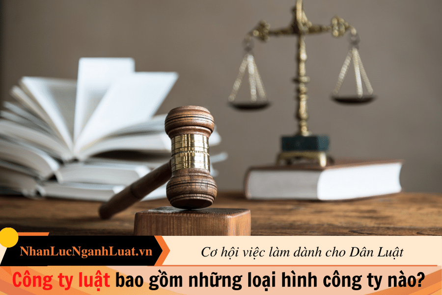 Công ty luật bao gồm những loại hình công ty nào? 