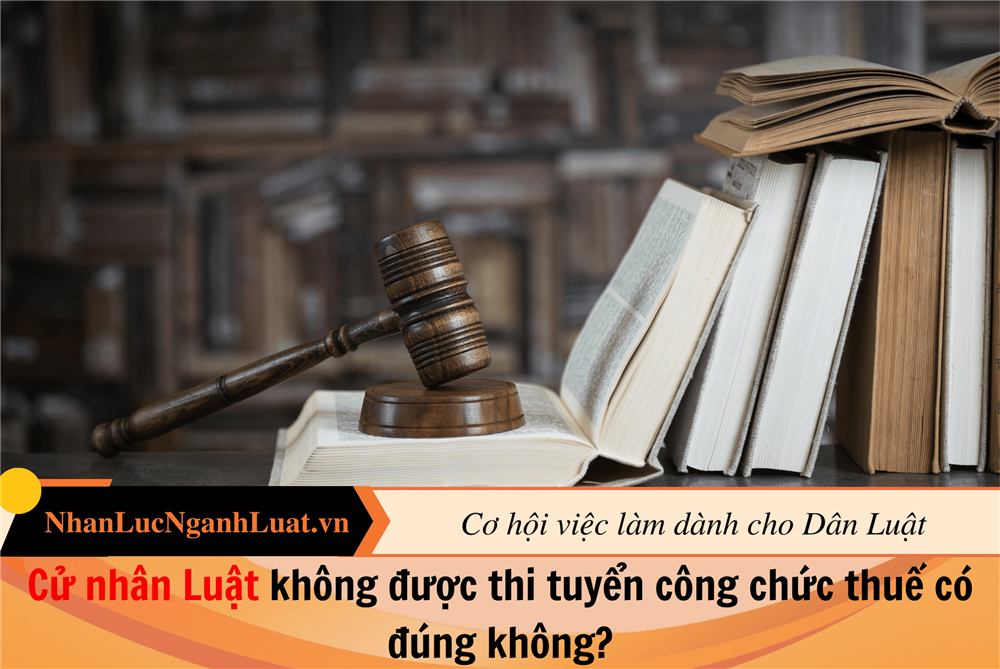 Cử nhân Luật không được thi tuyển công chức thuế có đúng không?