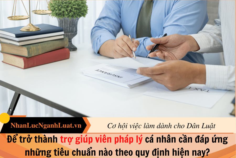 Để trở thành trợ giúp viên pháp lý cá nhân cần đáp ứng những tiêu chuẩn nào theo quy định hiện nay?