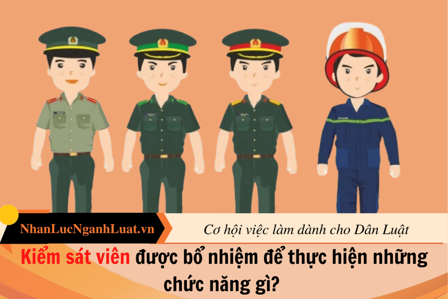 Kiểm sát viên được bổ nhiệm để thực hiện những chức năng gì? 