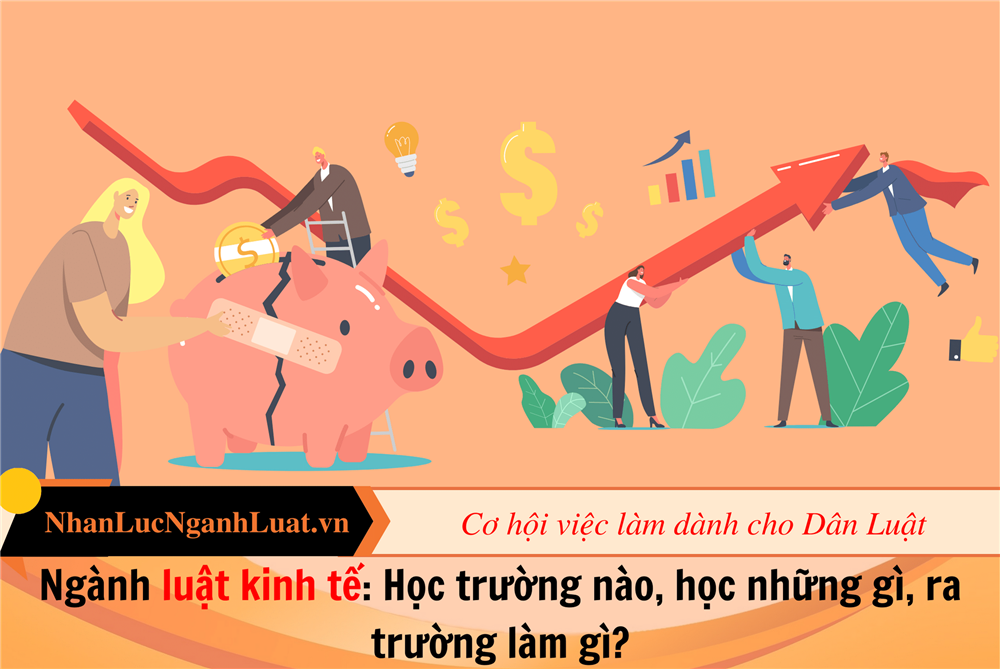 Ngành luật kinh tế: Học trường nào, học những gì, ra trường làm gì?