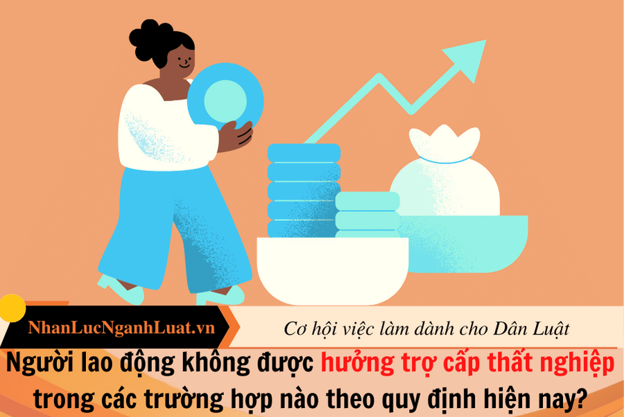 Người lao động không được hưởng trợ cấp thất nghiệp trong các trường hợp nào theo quy định hiện nay?