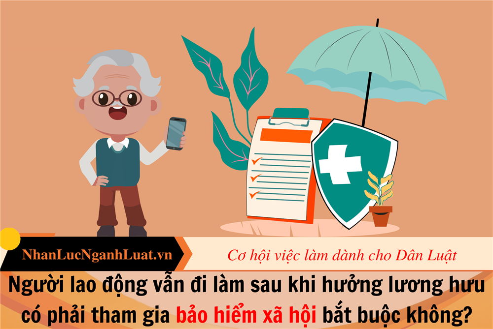 Người lao động vẫn đi làm sau khi hưởng lương hưu có phải tham gia bảo hiểm xã hội bắt buộc không?