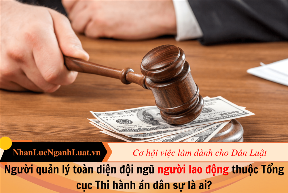 Người quản lý toàn diện đội ngũ người lao động thuộc Tổng cục Thi hành án dân sự là ai?