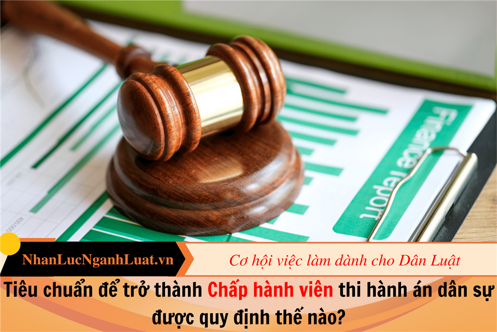 Tiêu chuẩn để trở thành Chấp hành viên thi hành án dân sự được quy định thế nào?