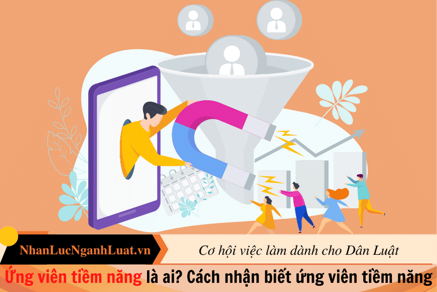 Ứng viên tiềm năng là ai? Cách nhận biết ứng viên tiềm năng