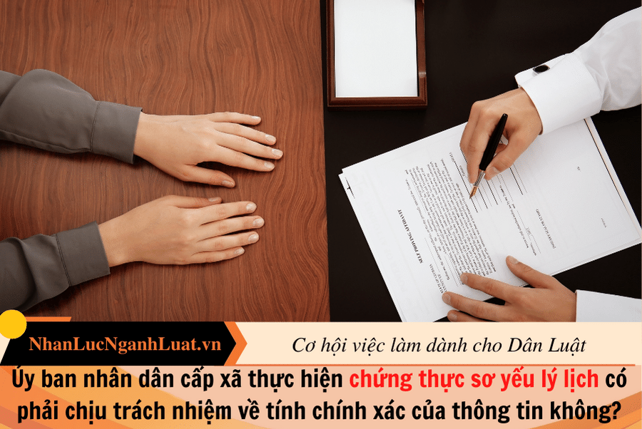 Ủy ban nhân dân cấp xã thực hiện chứng thực sơ yếu lý lịch có phải chịu trách nhiệm về tính chính xác của thông tin không?