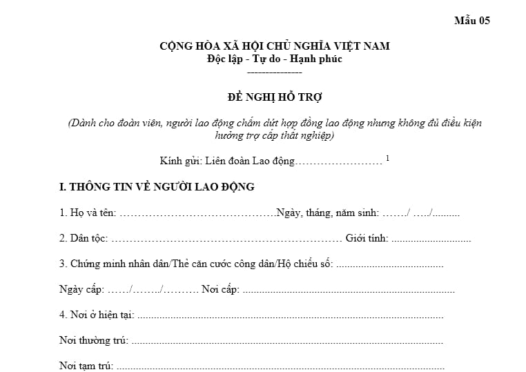 Đơn đề nghị hỗ trợ đoàn viên, người lao động bị chấm dứt hợp đồng lao động không đủ điều kiện hưởng trợ cấp thất nghiệp