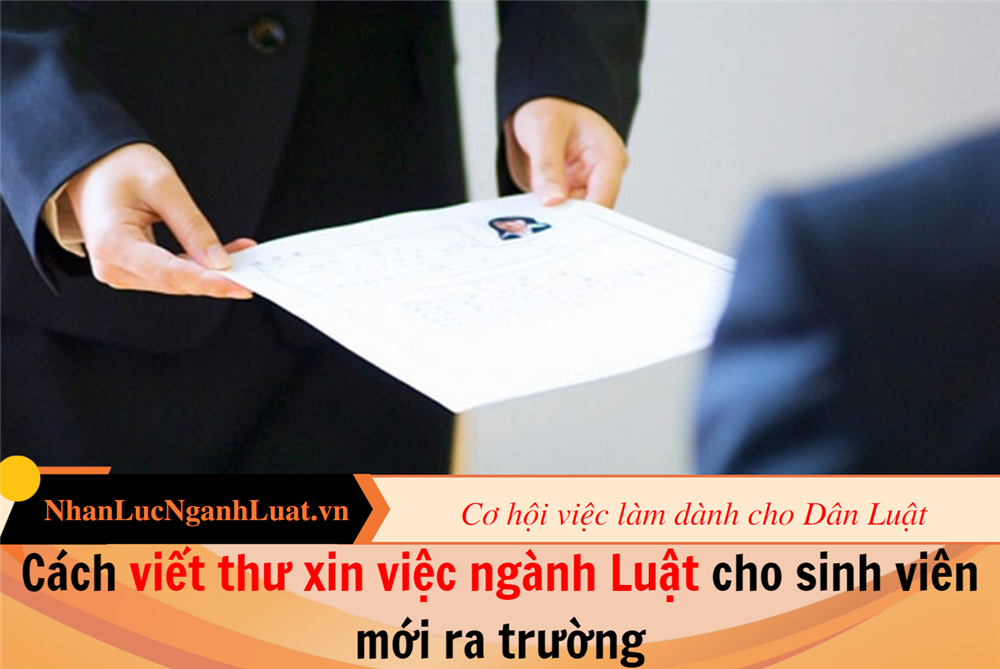 Cách viết thư xin việc ngành Luật cho sinh viên mới ra trường