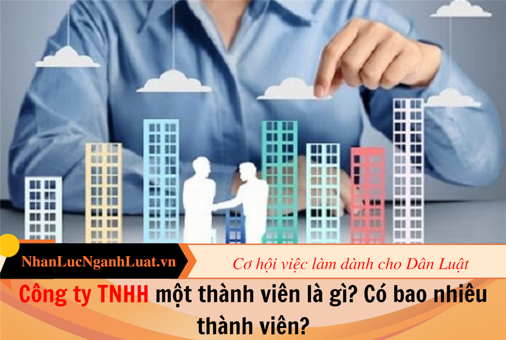 Công ty TNHH một thành viên là gì? Có bao nhiêu thành viên?