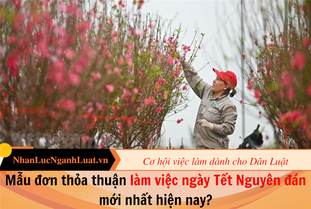 Mẫu đơn thỏa thuận làm việc ngày Tết Nguyên đán mới nhất hiện nay?