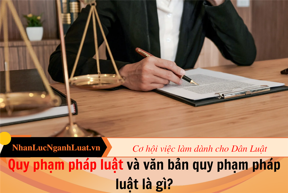 Quy phạm pháp luật và văn bản quy phạm pháp luật là gì?