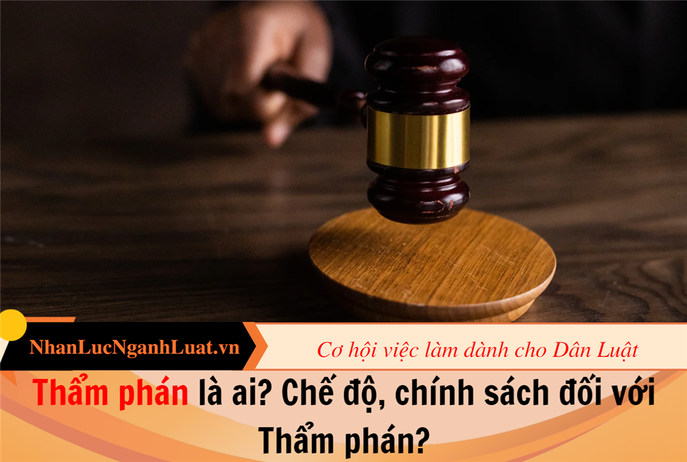 Thẩm phán là ai? Chế độ, chính sách đối với Thẩm phán?