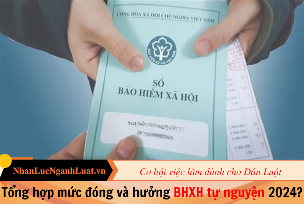 Tổng hợp mức đóng và hưởng BHXH tự nguyện 2024?