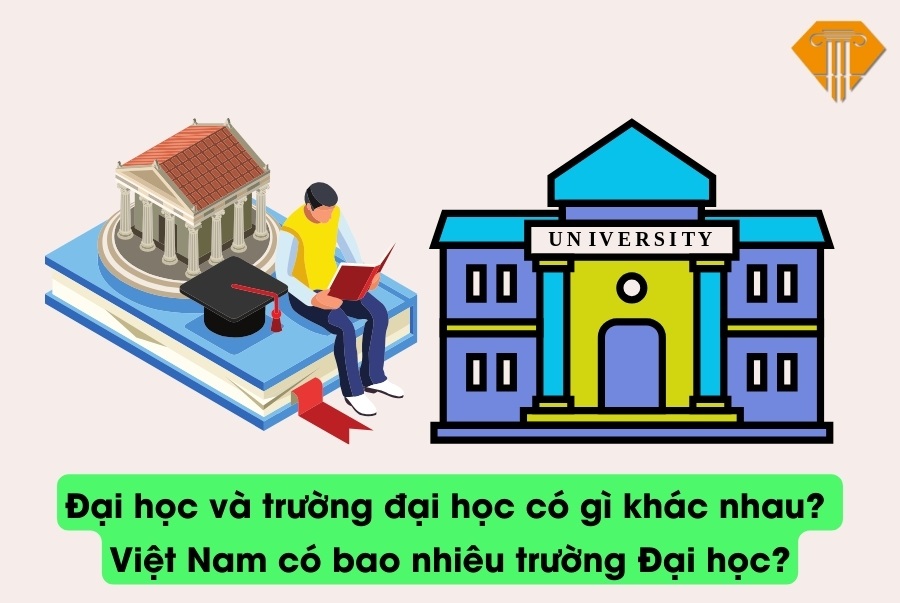 Đại học và trường đại học có gì khác nhau? Việt Nam có bao nhiêu trường Đại học?