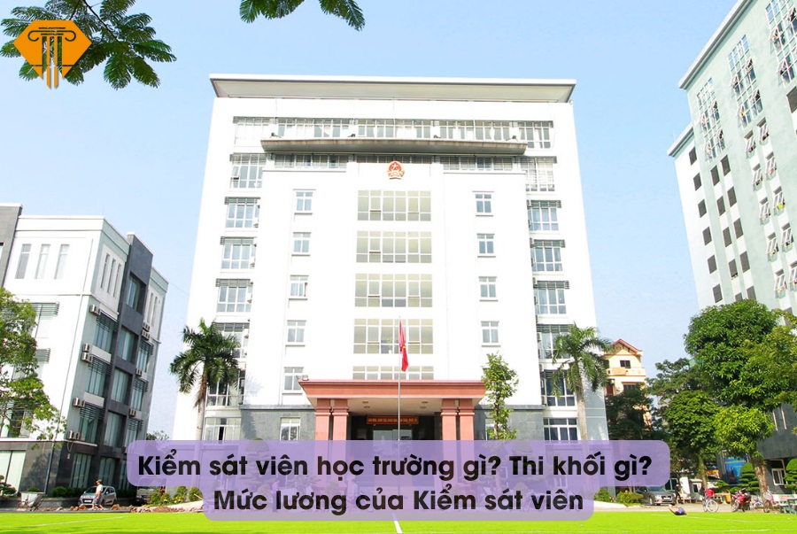 Để làm Kiểm sát viên cần học trường gì? Kiểm sát viên thi khối gì? Mức lương của Kiểm sát viên