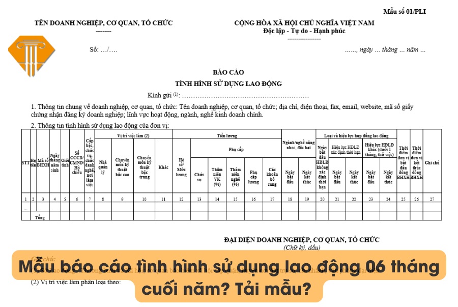 Mẫu báo cáo tình hình sử dụng lao động 06 tháng cuối năm