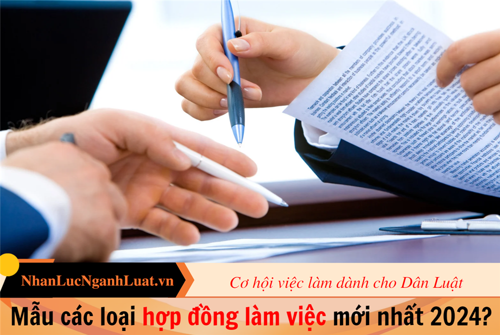 Mẫu các loại hợp đồng làm việc mới nhất 2024?