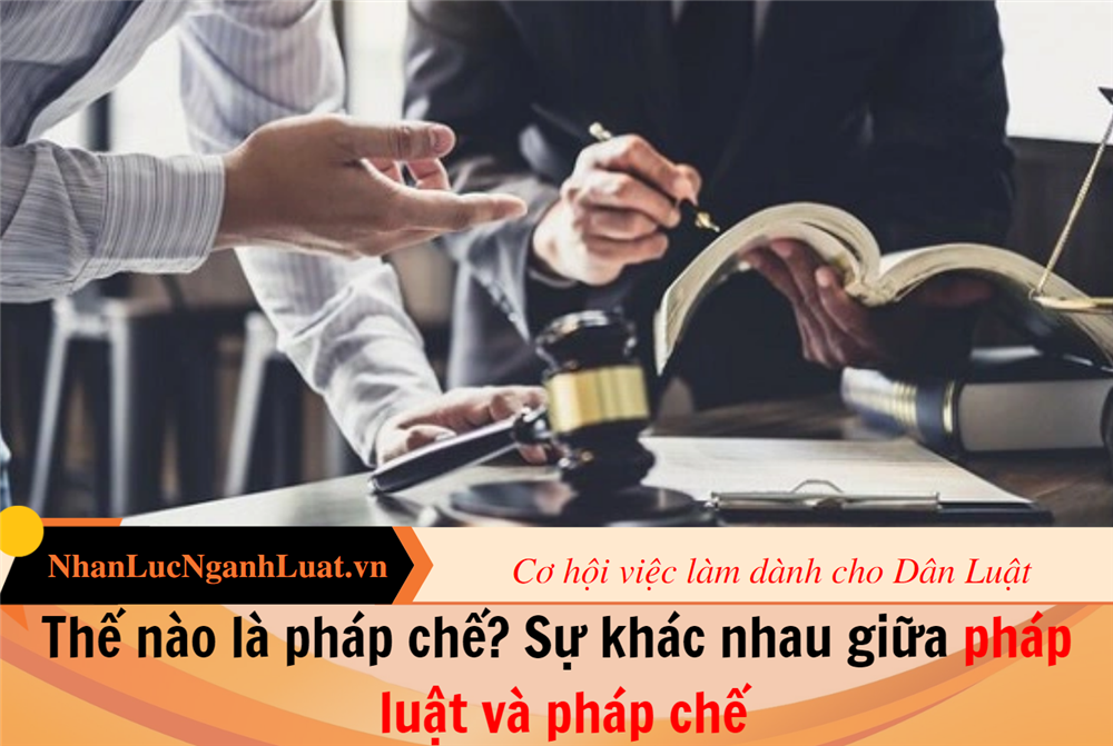 Thế nào là pháp chế?Sự khác nhau giữa pháp luật và pháp chế